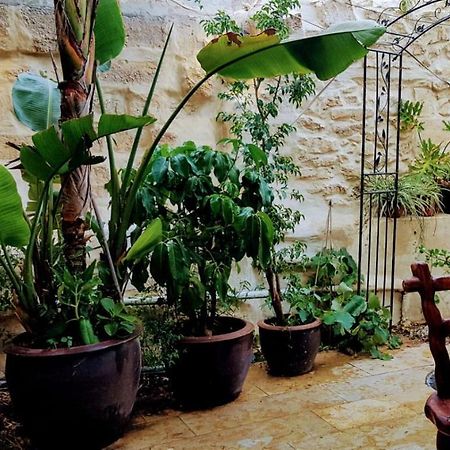 הגן הקסום, הצימר בבאר שבע Beersheba Exterior foto